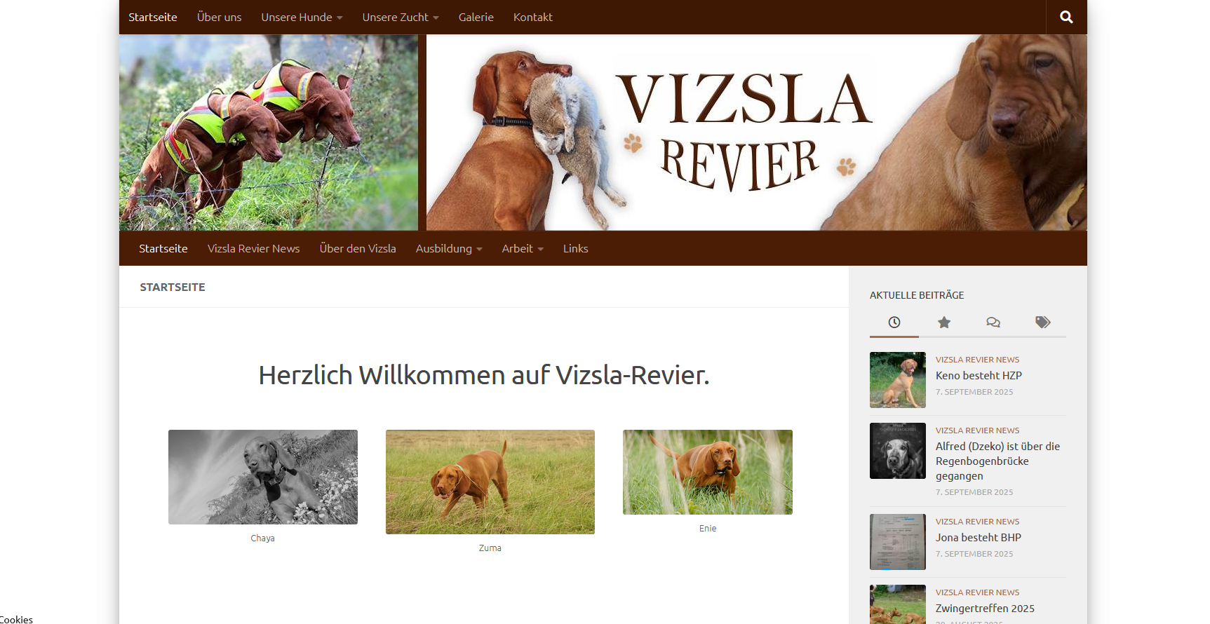 Referenzen - Vizsla Revier